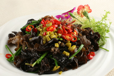 Similar image 11704406