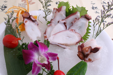 Similar image 11704504