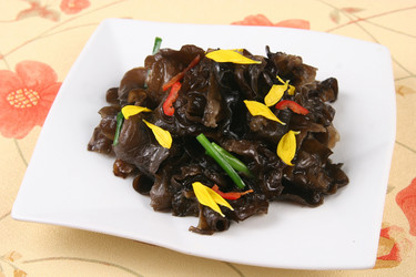 Similar image 11704902