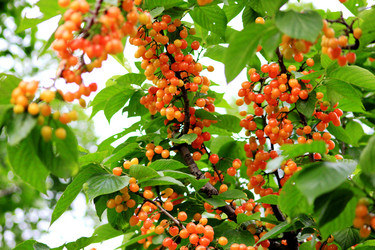 Similar image 11704418