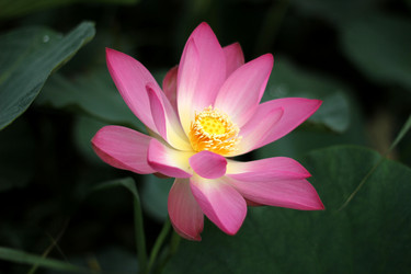 Similar image 11704907