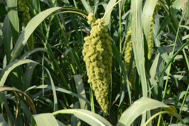 Similar image 11698281