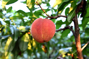 Similar image 11698432