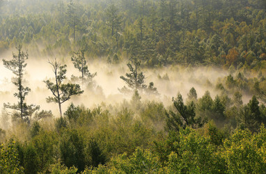 Similar image 11698283