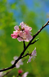 Similar image 11701184