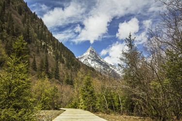 Similar image 11704518