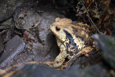 Similar image 11704820