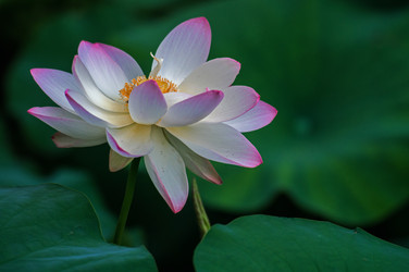 Similar image 11699073