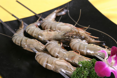 Similar image 11704449