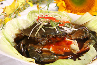 Similar image 11704522