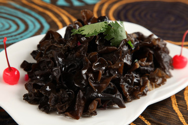 Similar image 11698379