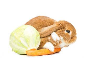 Similar image 11616998