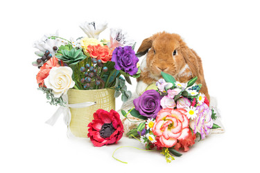 Similar image 11617042