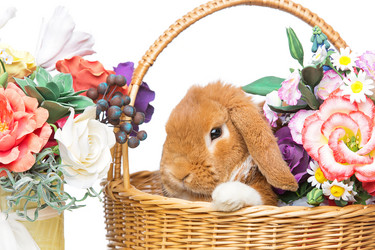 Similar image 11617049