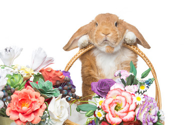 Similar image 11617052