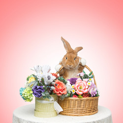 Similar image 11617107