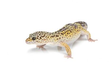 Similar image 11617109