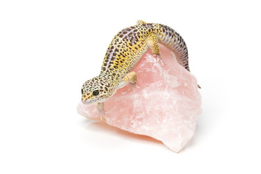 Similar image 11617116