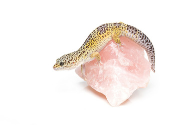 Similar image 11617119