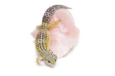 Similar image 11617146