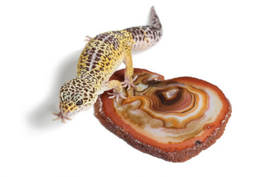 Similar image 11617148