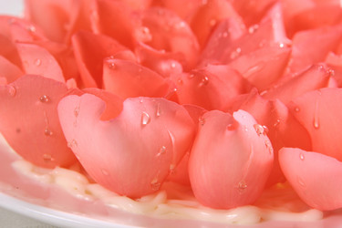 Similar image 11698077