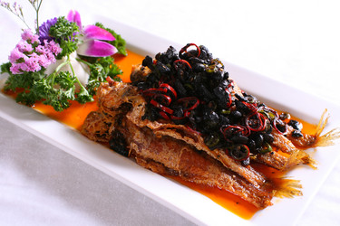 Similar image 11704527