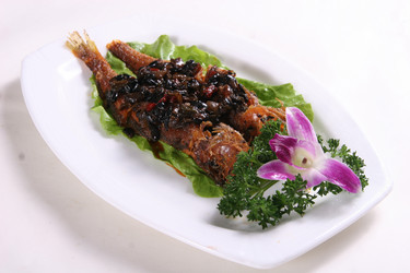 Similar image 11704838