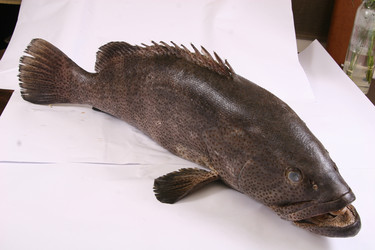 Similar image 11704755