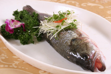 Similar image 11704848