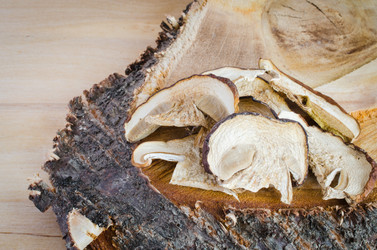 Similar image 11513371