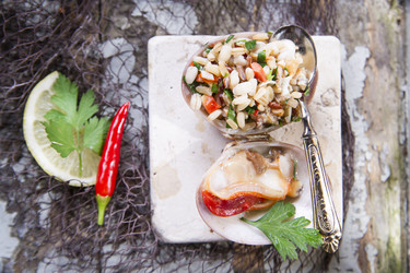 Similar image 11770117