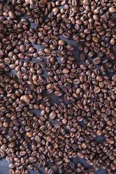 Similar image 11770163