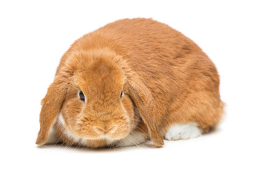 Similar image 11616957