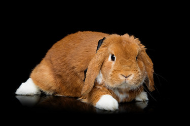 Similar image 11617011