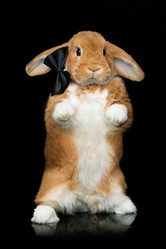 Similar image 11617013