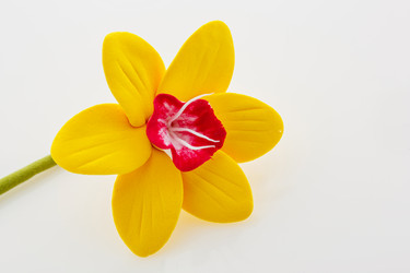 Similar image 11617360