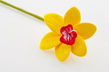 Similar image 11617362