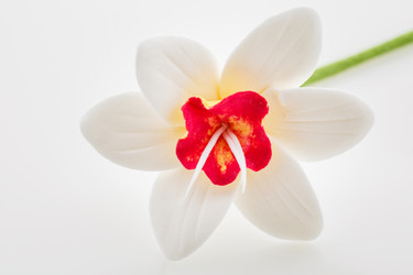 Similar image 11617364