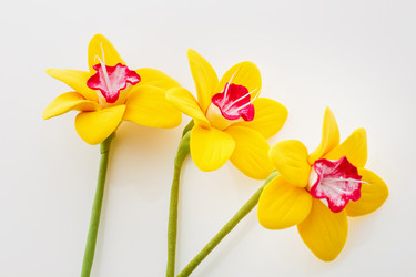 Similar image 11617371