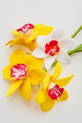 Similar image 11617374