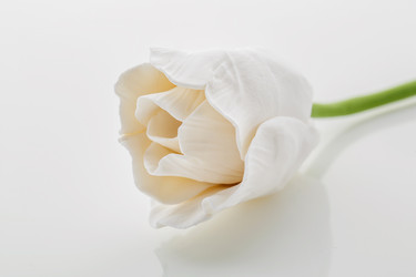 Similar image 11617376