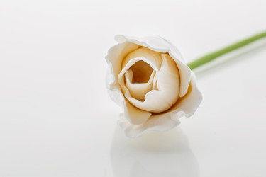 Similar image 11617378