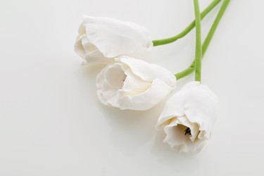 Similar image 11617380