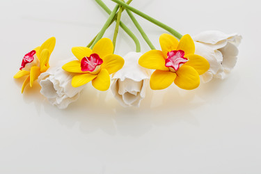 Similar image 11617409