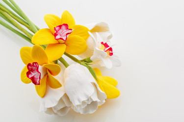 Similar image 11617414