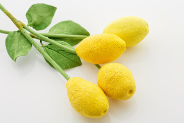 Similar image 11617420