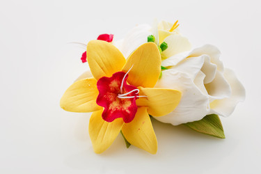 Similar image 11617490