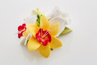 Similar image 11617495