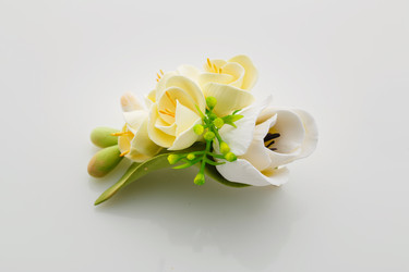 Similar image 11617502